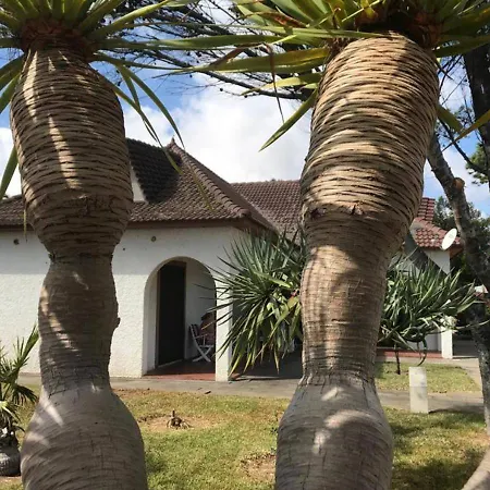 Bay View Villa Porto Santo